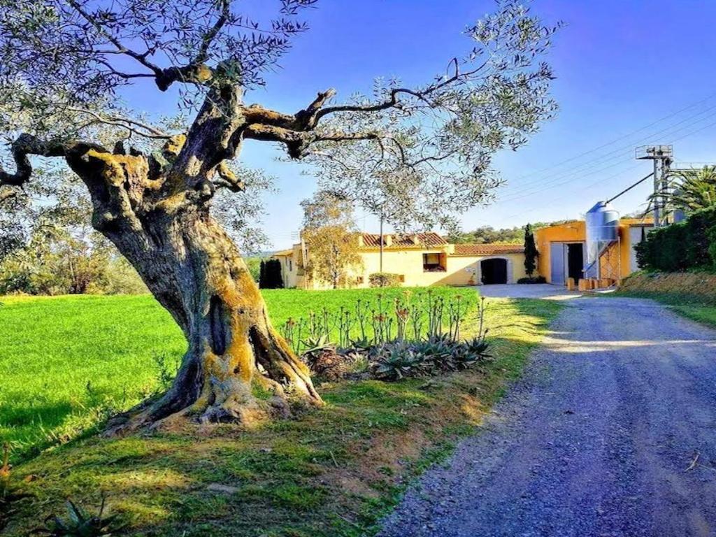 Rural Mas Hortus Villa Херона Екстериор снимка